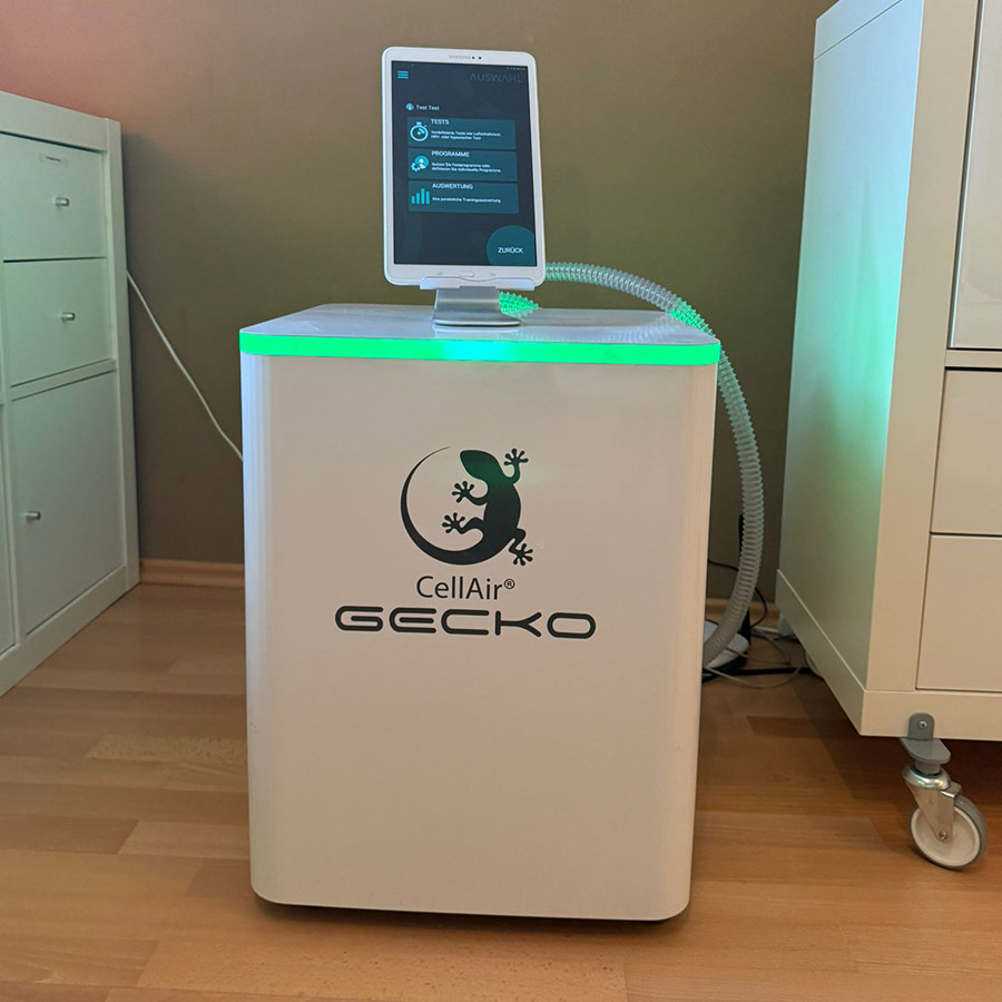 Gecko Gerät Gecko Gerät