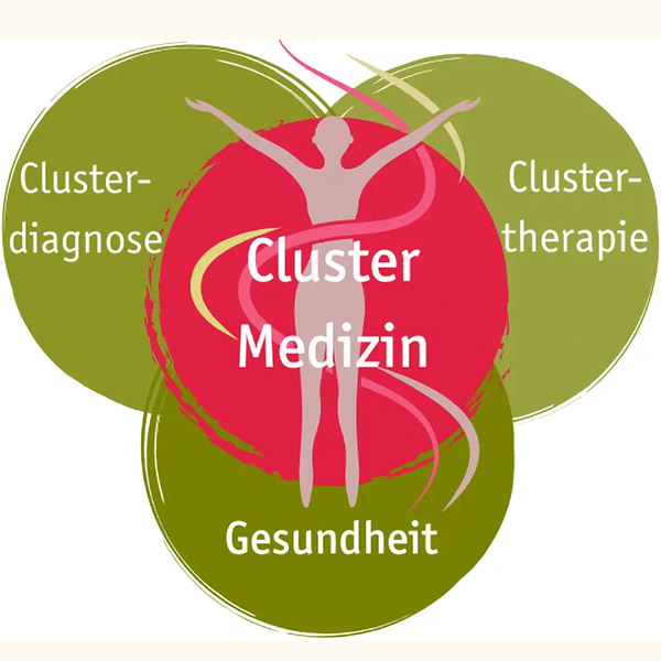 Cluster Medizin Cluster Medizin