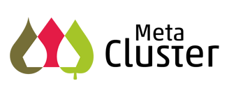 Meta Cluster Meta Cluster